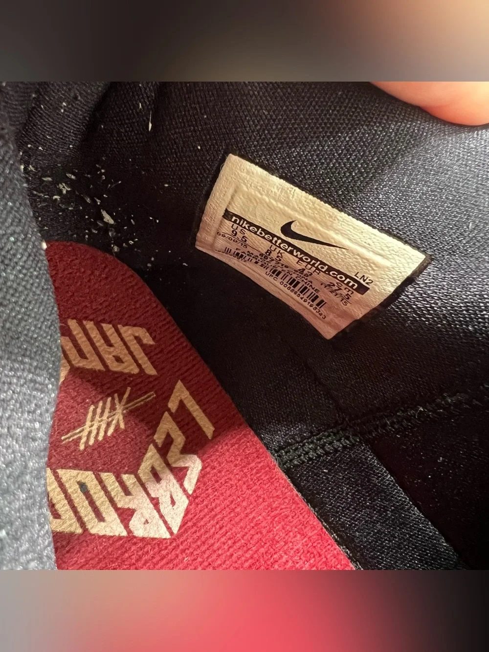 Nike LeBron 13 sneakers in the 